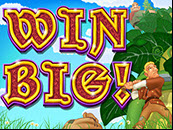 Win Big Slot Game - 5 reels, 25 lines, free games feature, progressive jackpots